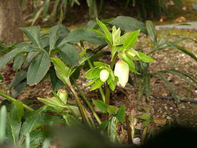 20110227_03.JPG