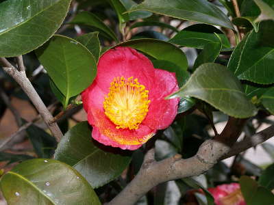 20110227_04.JPG