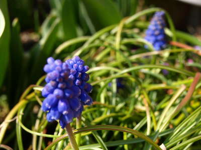 20110329_25.JPG