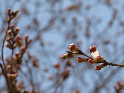20110330_03.JPG