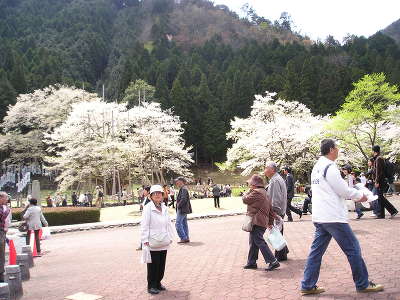 P1010054.JPG